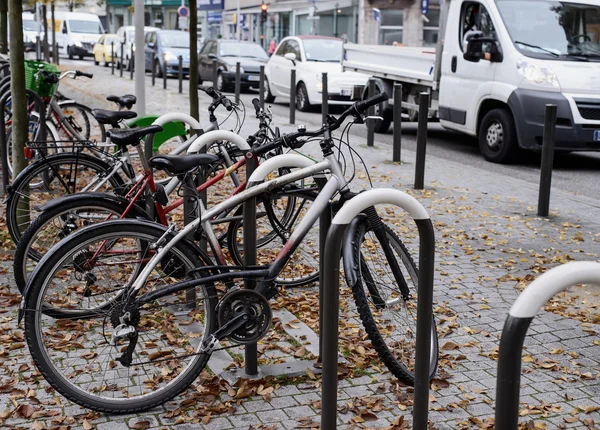 Ряды велосипедов, припаркованных под цветущими осенними деревьями — стоковое фото