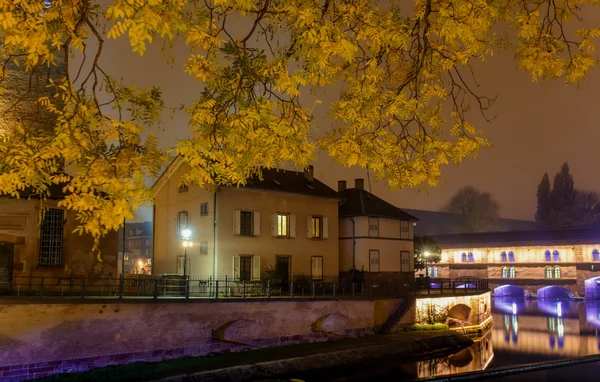 Ciudad nocturna de Estrasburgo, el paseo marítimo en otoño follaje amarillo en los árboles — Foto de Stock