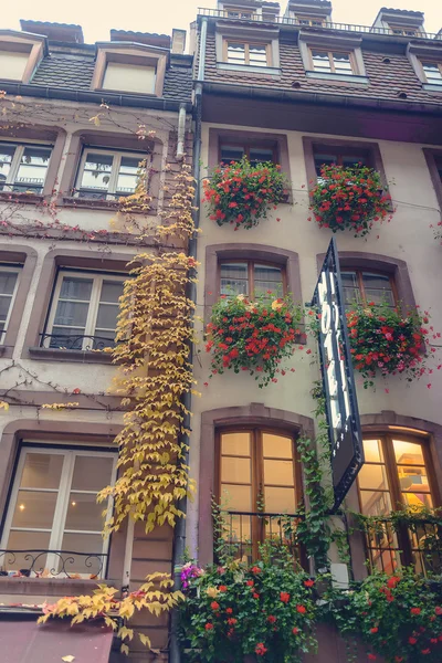 Höstens creeper på en byggnad fasad — Stockfoto