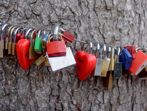 Colorful group of love locks — Stock Photo, Image