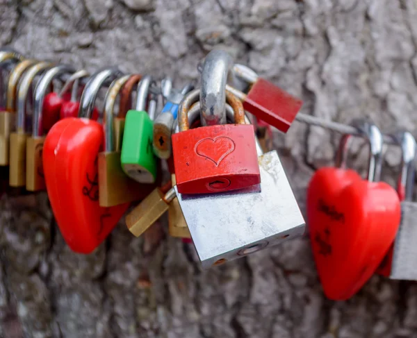 Colorful group of love locks — Stock Photo, Image