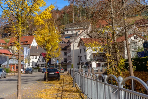 Tipico, autentico villaggio con case accoglienti della campagna in autunno Germania — Foto Stock