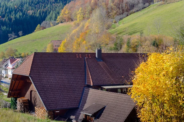 Krajina z podzimní krajiny s dřevěné usedlosti na zelené kopce a hory v pozadí, Německo — Stock fotografie