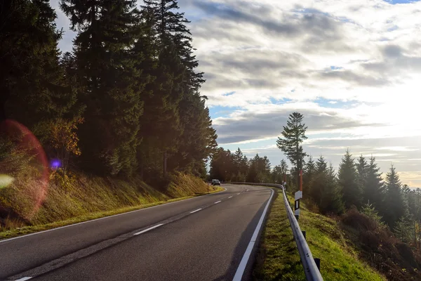 Asphalt road is running along the slope overgrown with coniferous forest. — Stock Photo, Image