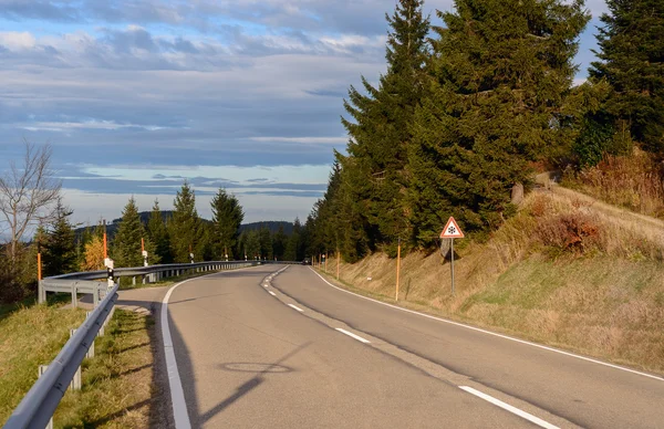 Asphalt road is running along the slope overgrown with coniferous forest. — Stock Photo, Image