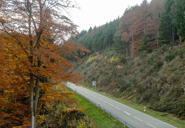 Estrada de asfalto está correndo ao longo da encosta coberto com floresta de coníferas . — Fotografia de Stock