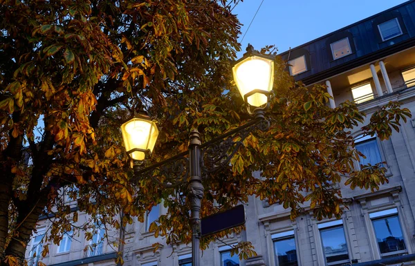 Przedstawcie w sylwecie lampy uliczne w kontrastujących światła na tle żółte liście. Jesienny dzień. — Zdjęcie stockowe