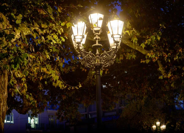 Imagem estilo vintage com lâmpada de rua velha no parque no outono — Fotografia de Stock