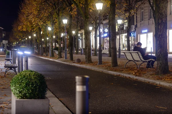 Vintage style picture with old street lamp in the park at autumn