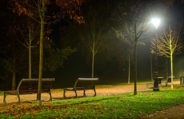 Woodland banklar ile üzerinden dolambaçlı yol