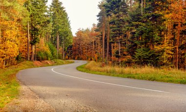 Sonbahar ağaçlar ile lanmış yol