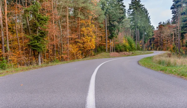 Enrolamento estrada alcatrão através de árvores de outono — Fotografia de Stock