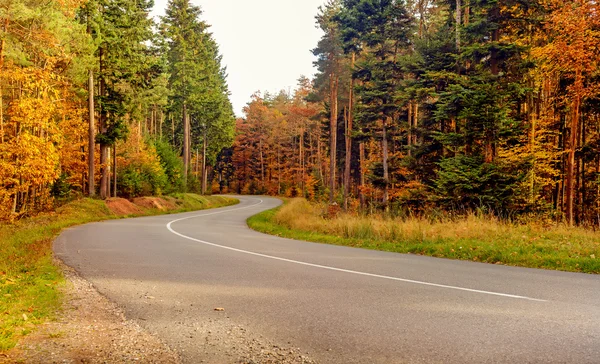 Sinuoso camino asfaltado a través de árboles de otoño — Foto de Stock