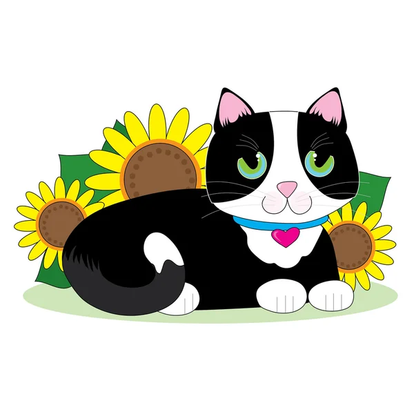 Смокінг кішка з соняшниками в саду Стоковий вектор
