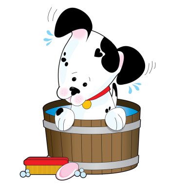 Sabunlu banyoda köpek