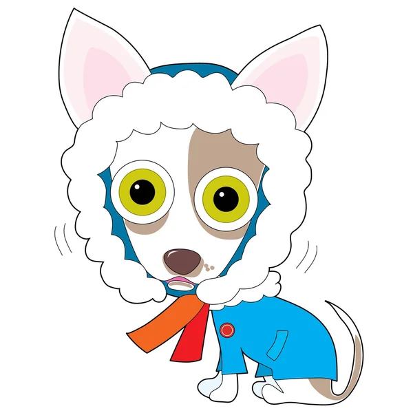 Chilly Chihuahua — Stock Illustration Chilly Chihuahua Royalty Free Stock Vectors