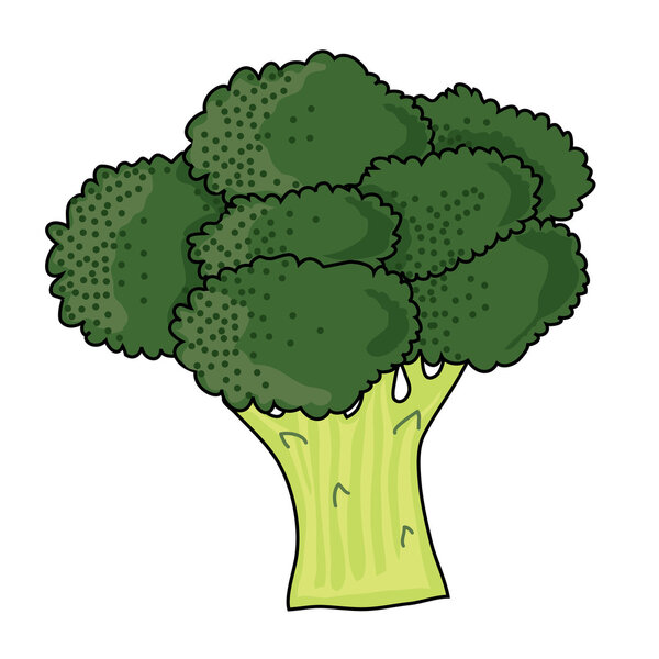 A bunch of green, leafy brocolli