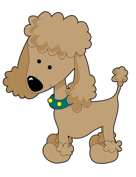 Apricot cartoon poodle — Stock Vector