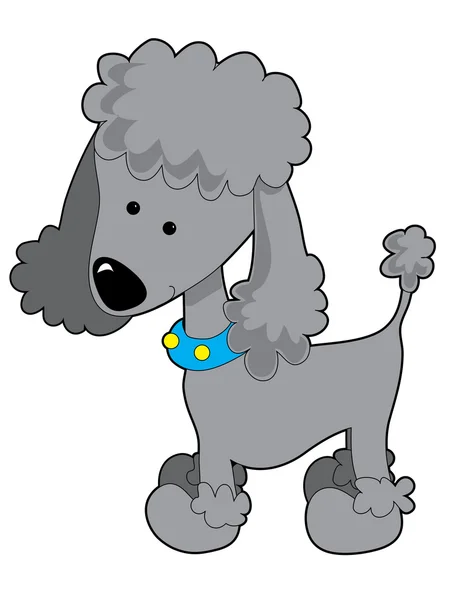 Grey cartoon poodle — Stock Vector
