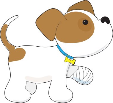 Yaralı bir pençe ile şirin köpek yavrusu