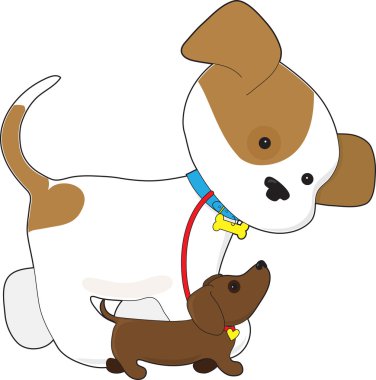 sevimli köpek bir köpek yürüyüş