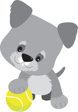 Schnauzer köpek ve topu