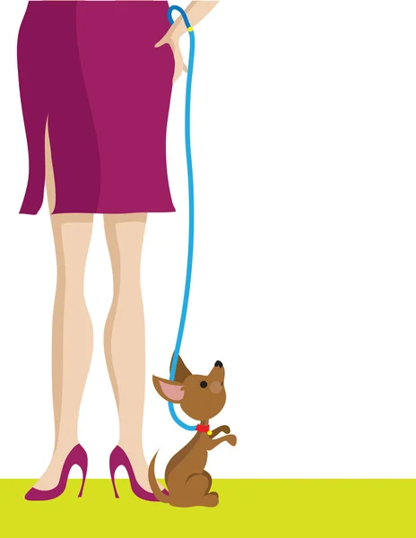 Piernas y perro de mujer — Vector de stock