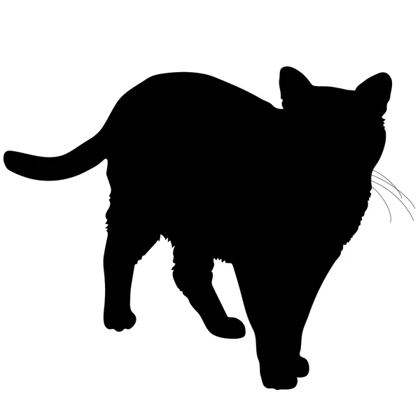 Silhouette gatto — Vettoriale Stock