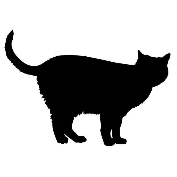 Zwart silhouet van een kat — Stockvector