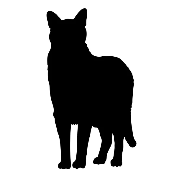 Svart siluett av en katt — Stock vektor