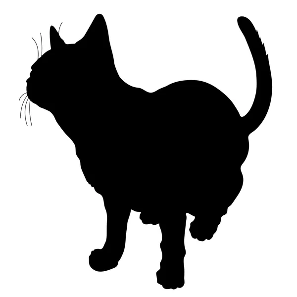 Zwart silhouet van een kat — Stockvector