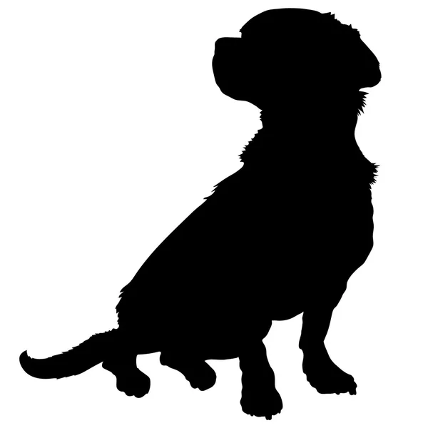 Mixed Breed Silhouette — Stock Vector