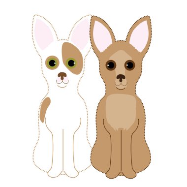Chihuahuas çifti