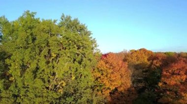 Sonbahar renklerinde ağaçların arkasından gelen bir dronla yükseliyor.