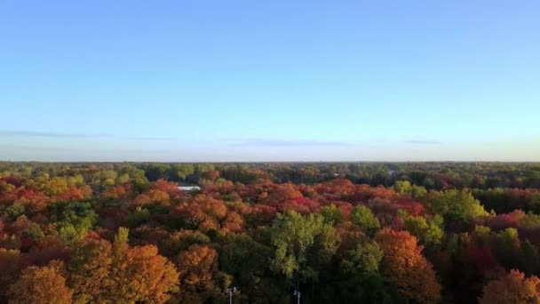 Survoler les bois de Laval Fabreville dévoilant un paysage automnal arboré — Video