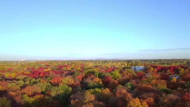 Vue aérienne sur les bois de Laval Fabreville révélant les couleurs de l'automne — Video