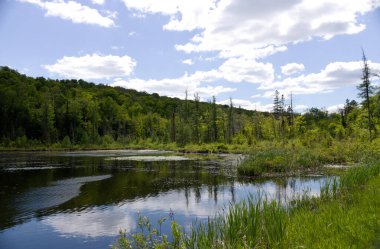 Parçalı bulutlu bir günde bir gölü, dağları ve ağaçları gözler önüne seren huzurlu manzara.