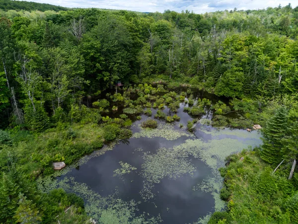 Lucht Drone Uitzicht Kleine Eendenvijver Laurentiens Omgeven Door Bomen Een — Stockfoto