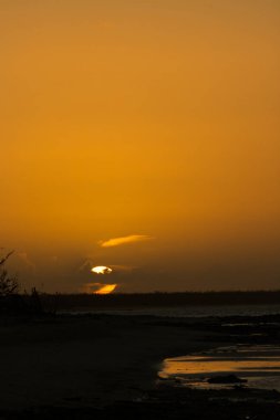Güneşin denizin arkasında battığını gösteren açık gökyüzü ile kumsalda altın bir günbatımı