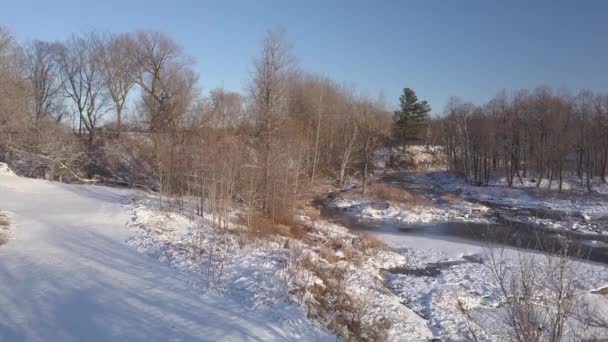 凍った川の近くの小枝や木の方へゆっくりと飛んでいき — ストック動画