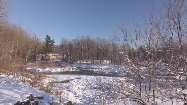 Paesaggio invernale in una giornata di sole vicino al fiume ghiacciato che va lentamente da destra a sinistra e su — Video Stock