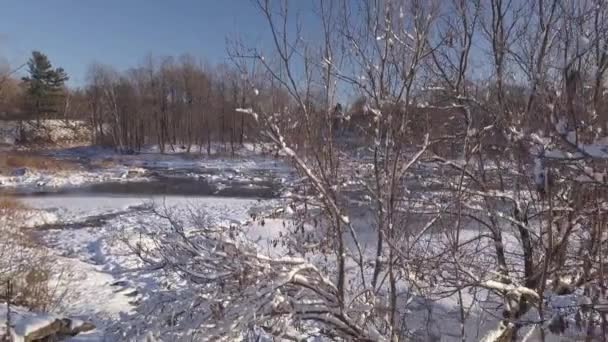 Voando da esquerda para a direita atrás das árvores cobertas de neve no inverno — Vídeo de Stock