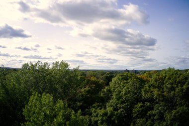 Ağaçların tepesinde bulutlu gökyüzünü, ağaçların üzerinde yeşil yapraklarla beyaz bulutları gösteriyor.