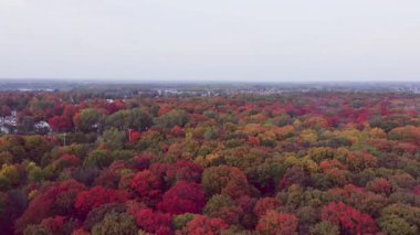 Çok bulutlu bir günde, sonbaharda renkli ağaçların üzerinde soldan sağa dönüyor.