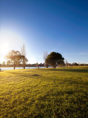 Yaz sabahı Albert Parke Gölü Melbourne, Avustralya.