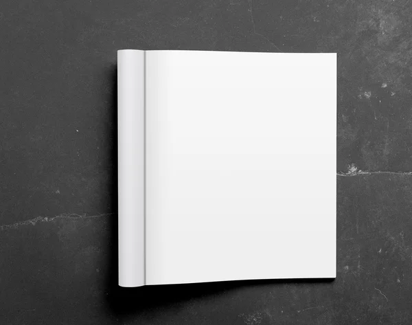 Revista deschisă goală izolată pe fundal alb — Fotografie, imagine de stoc