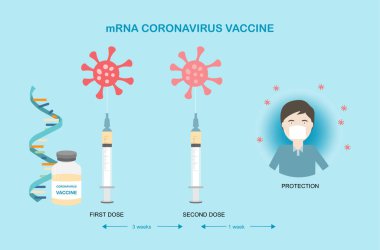 Coronavirus koruması için mRNA aşısı kavramları