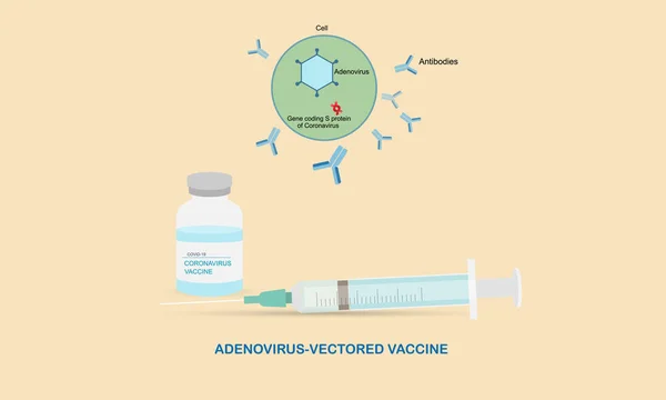 コロナウイルスまたはCovid 19パンデミックに対するアデノウイルスベクトルワクチン — ストックベクタ