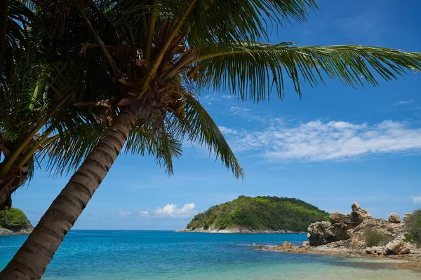 Veduta Della Bellissima Spiaggia Dell Albero Cocco Sulla Spiaggia Nui — Foto Stock