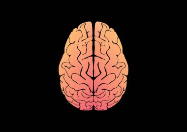 Siyah arka planda insan serebral korteksinin vektör çizimi